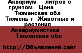 Аквариум 35 литров с грунтом › Цена ­ 900 - Тюменская обл., Тюмень г. Животные и растения » Аквариумистика   . Тюменская обл.